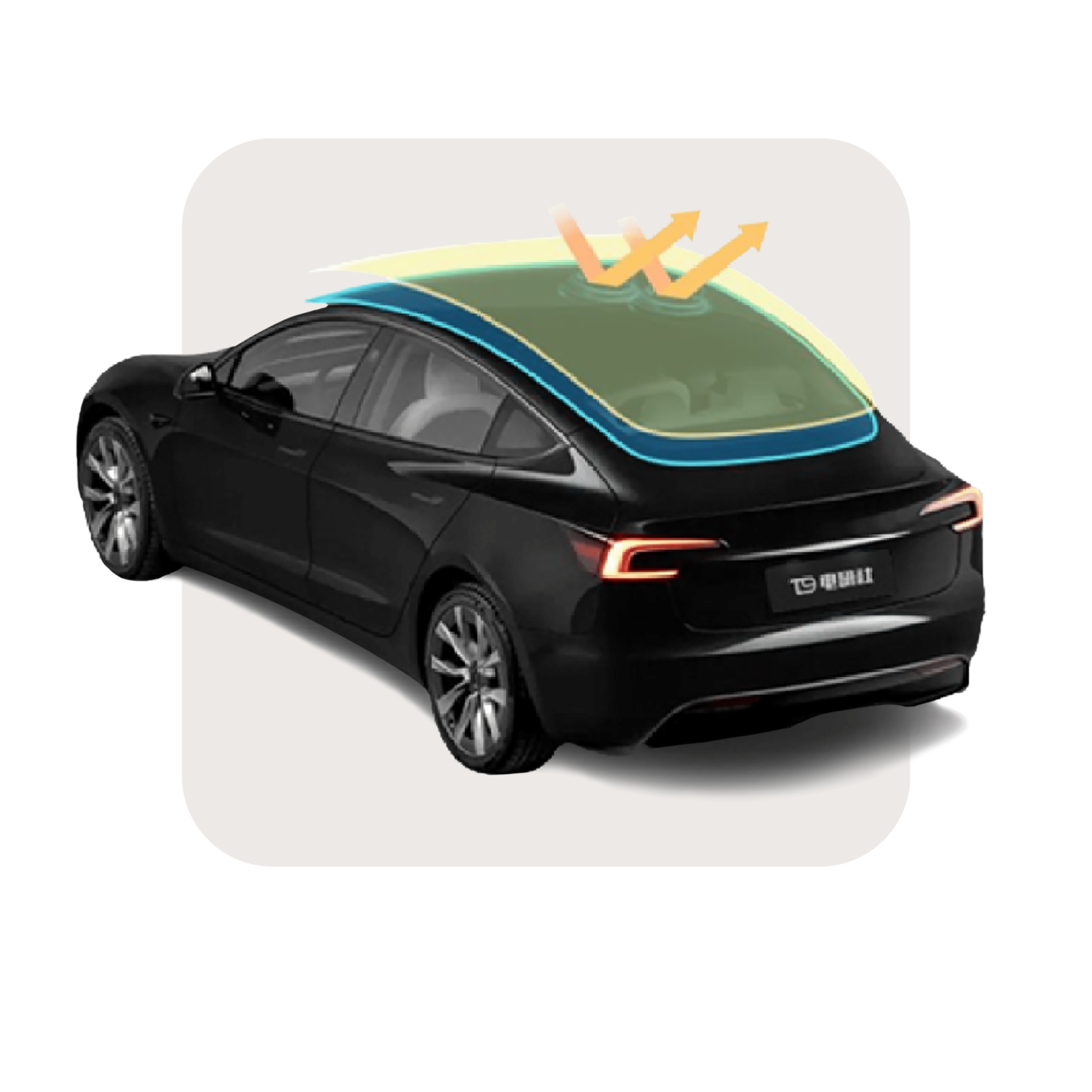 XPEL PROTEX Paint Protection Film