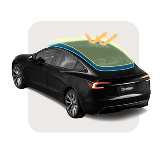 XPEL PROTEX Paint Protection Film